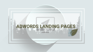 adwords landing pages