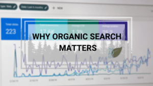 organic seo search rankings